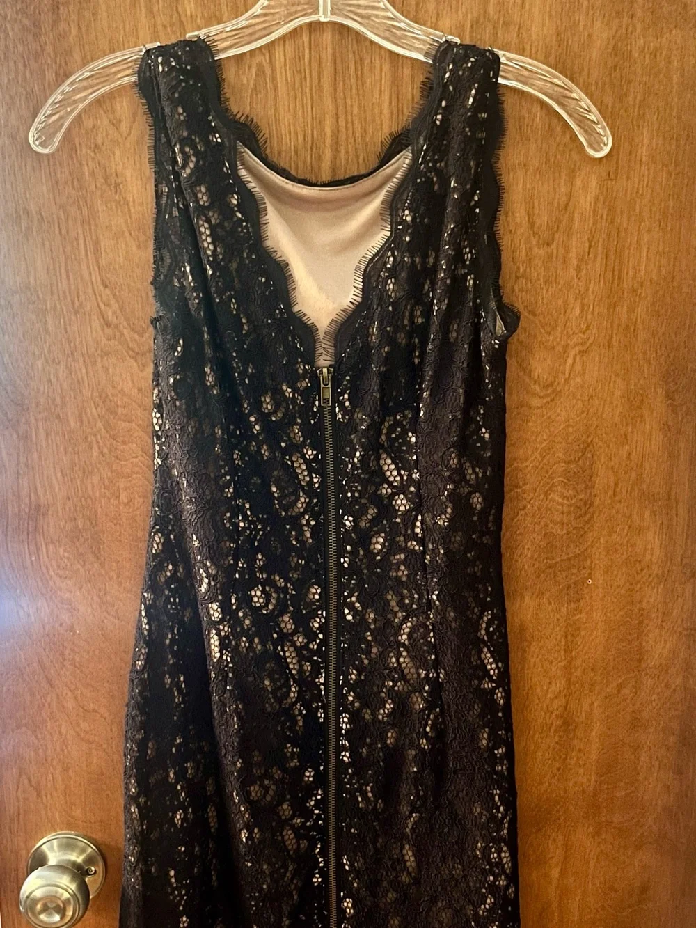 Adrianna Papell Navy Blue Lace Overlay with Nude Lining Dress